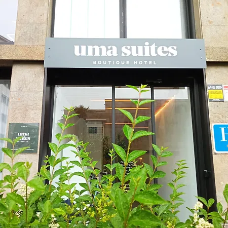 Colectia Ondarreta * 圣塞瓦斯蒂安