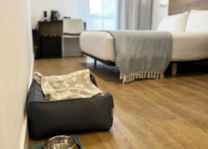 Colectia Ondarreta Готель *